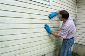 Best Siding Painting and Refinishing  in Avonia, PA